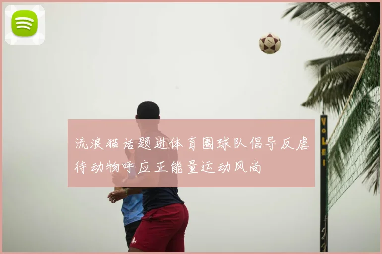 流浪猫话题进体育圈球队倡导反虐待动物呼应正能量运动风尚