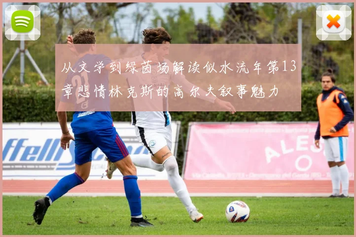 从文学到绿茵场解读似水流年第13章悲情林克斯的高尔夫叙事魅力