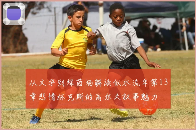 从文学到绿茵场解读似水流年第13章悲情林克斯的高尔夫叙事魅力