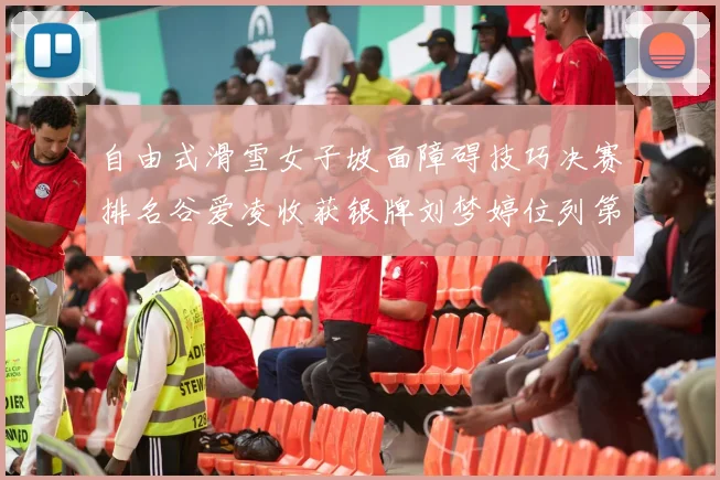 自由式滑雪女子坡面障碍技巧决赛排名谷爱凌收获银牌刘梦婷位列第五