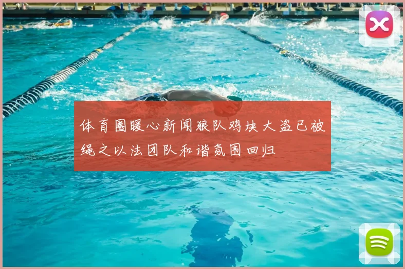 体育圈暖心新闻狼队鸡块大盗已被绳之以法团队和谐氛围回归